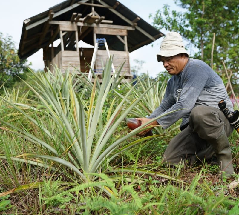 Hadirkan Tongkat, YBS Palopo: Sampah Basah Jadi Pupuk Organik
