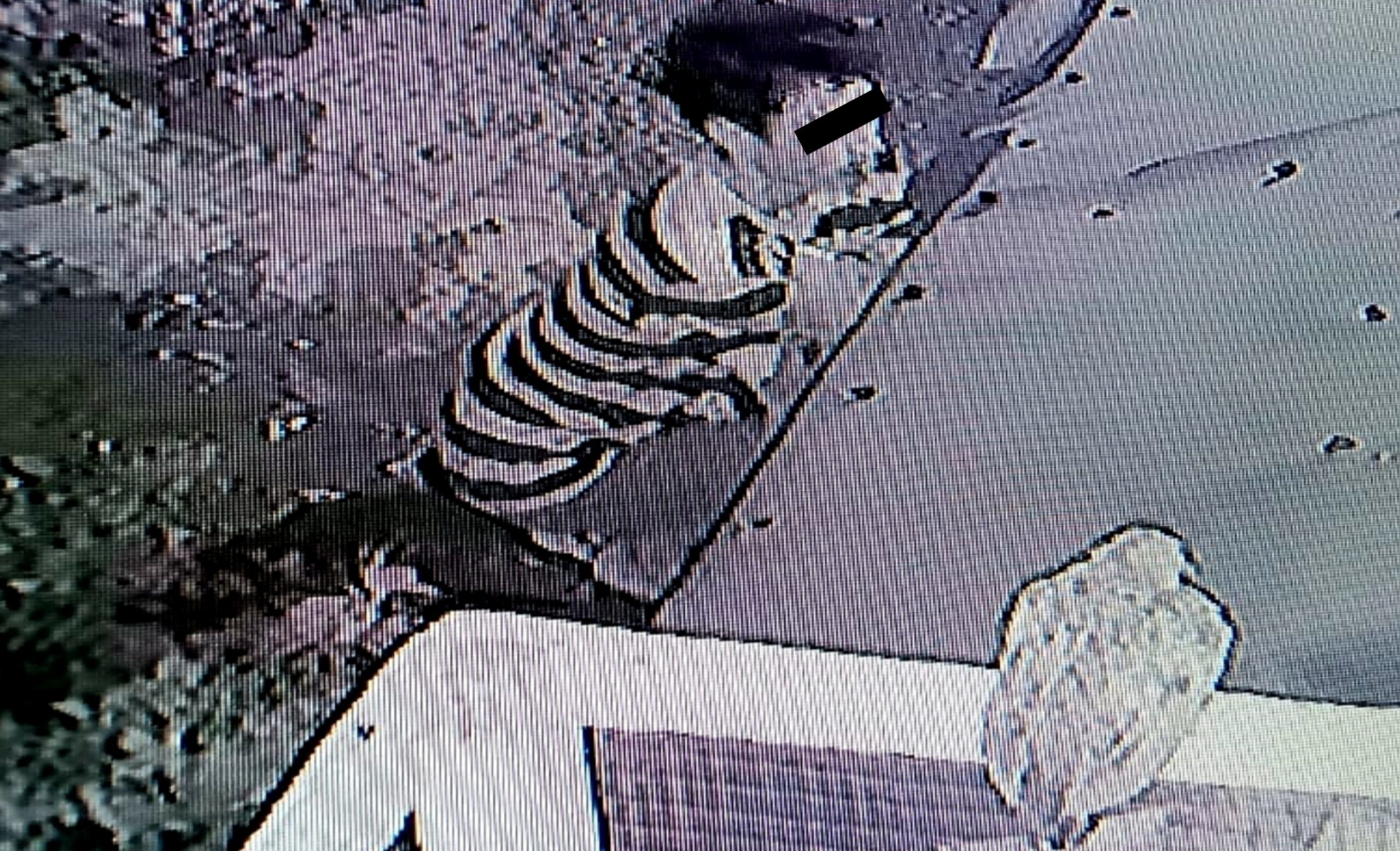 Pencurian Ayam Terekam CCTV, Warga: Pompa Air Masjid dan Uang Celengan Juga Hilang