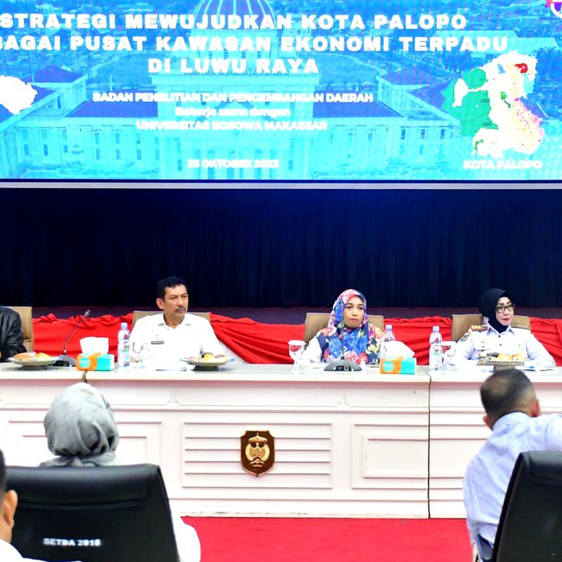 Pemkot Palopo Gelar Seminar RTRW, Jadi Acuan Tata Ruang yang Baik