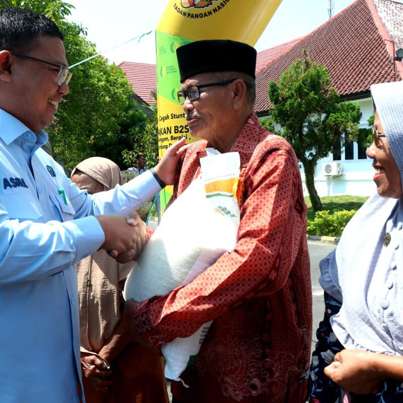 Serahkan Bantuan CPP, Asrul: Akan Ajak Investor Bangun Pabrik Pengolahan Padi di Palopo