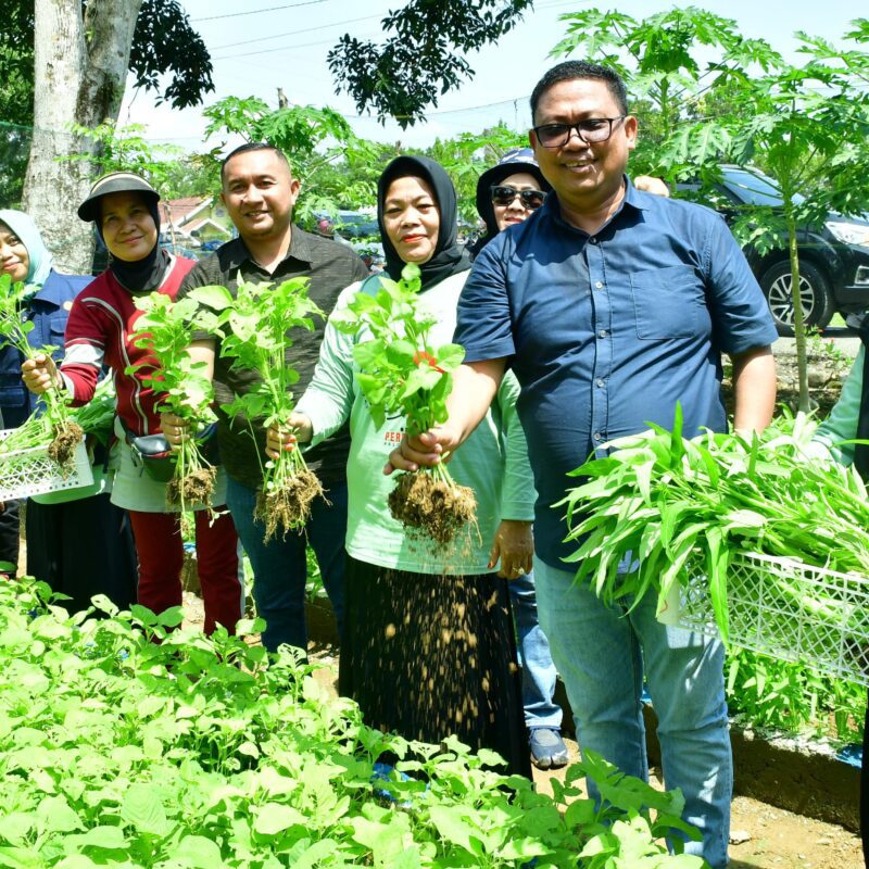 Kunjungi KWT di Sejumlah Kecamatan, Asrul Sani Ajak Masyarakat Tanam Sayur