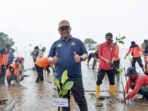 Peringati Hari Lingkungan Sedunia, Asrul Sani Tanam Mangrove