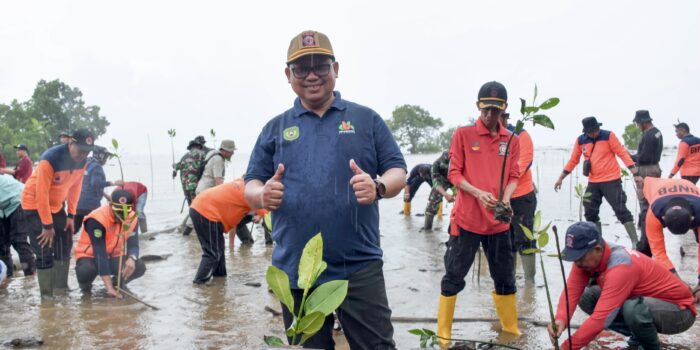 Peringati Hari Lingkungan Sedunia, Asrul Sani Tanam Mangrove