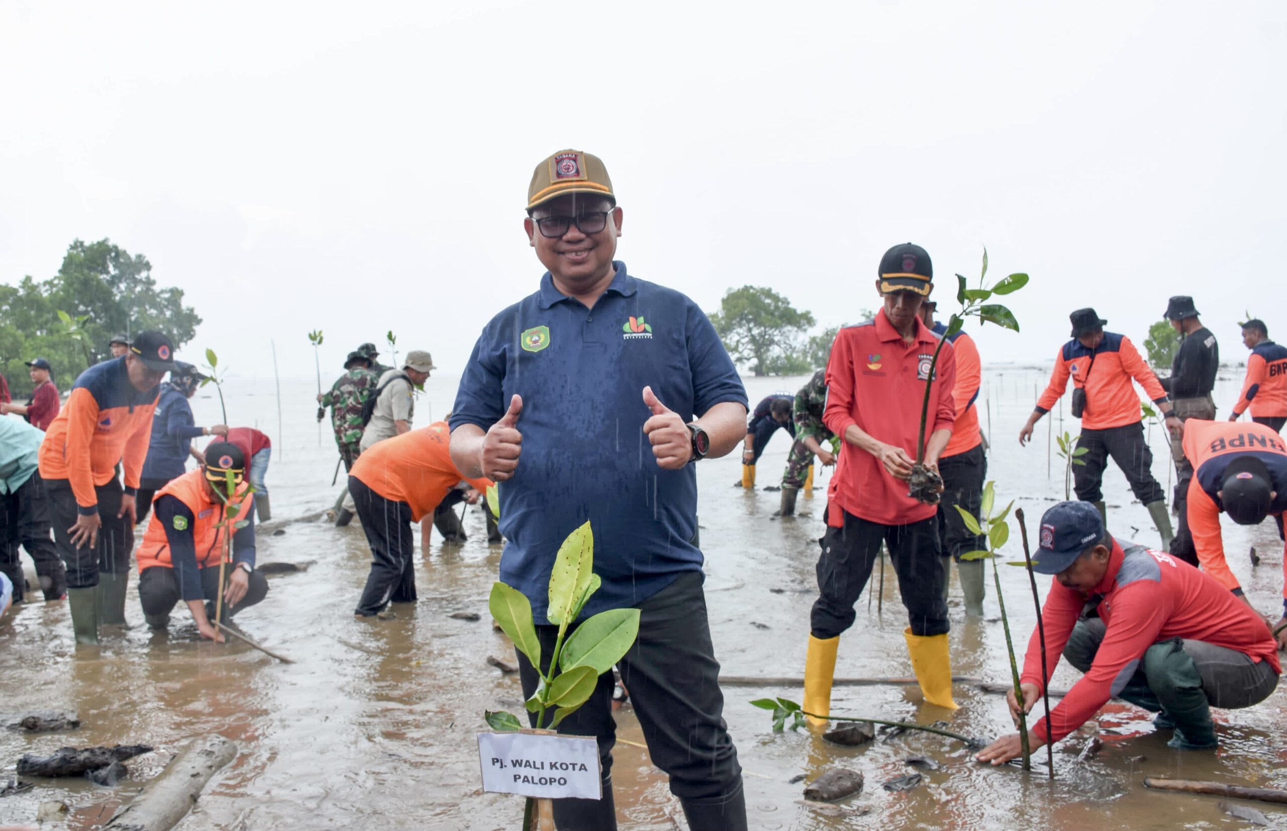 Peringati Hari Lingkungan Sedunia, Asrul Sani Tanam Mangrove
