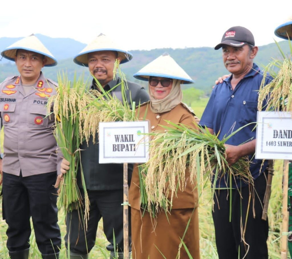 Ikut Gerakan Panen Raya Nasional, Pemkab Lutim Apresiasi Peran Petani