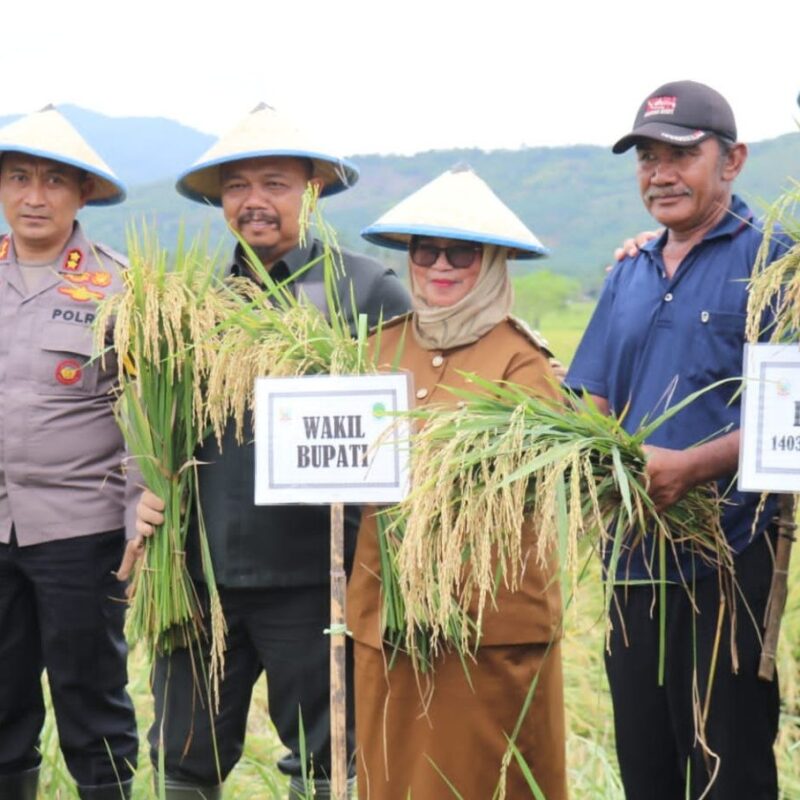 Ikut Gerakan Panen Raya Nasional, Pemkab Lutim Apresiasi Peran Petani Ikut Gerakan Panen Raya Nasional, Pemkab Lutim Apresiasi Peran Petani