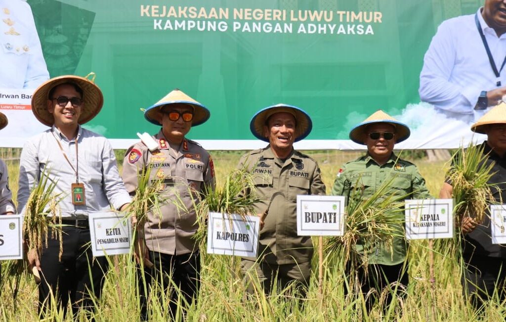 Bupati Lutim Hadiri Panen Raya Padi Kampung Pangan Adhyaksa