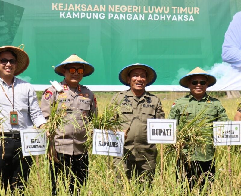 Bupati Lutim Hadiri Panen Raya Padi Kampung Pangan Adhyaksa