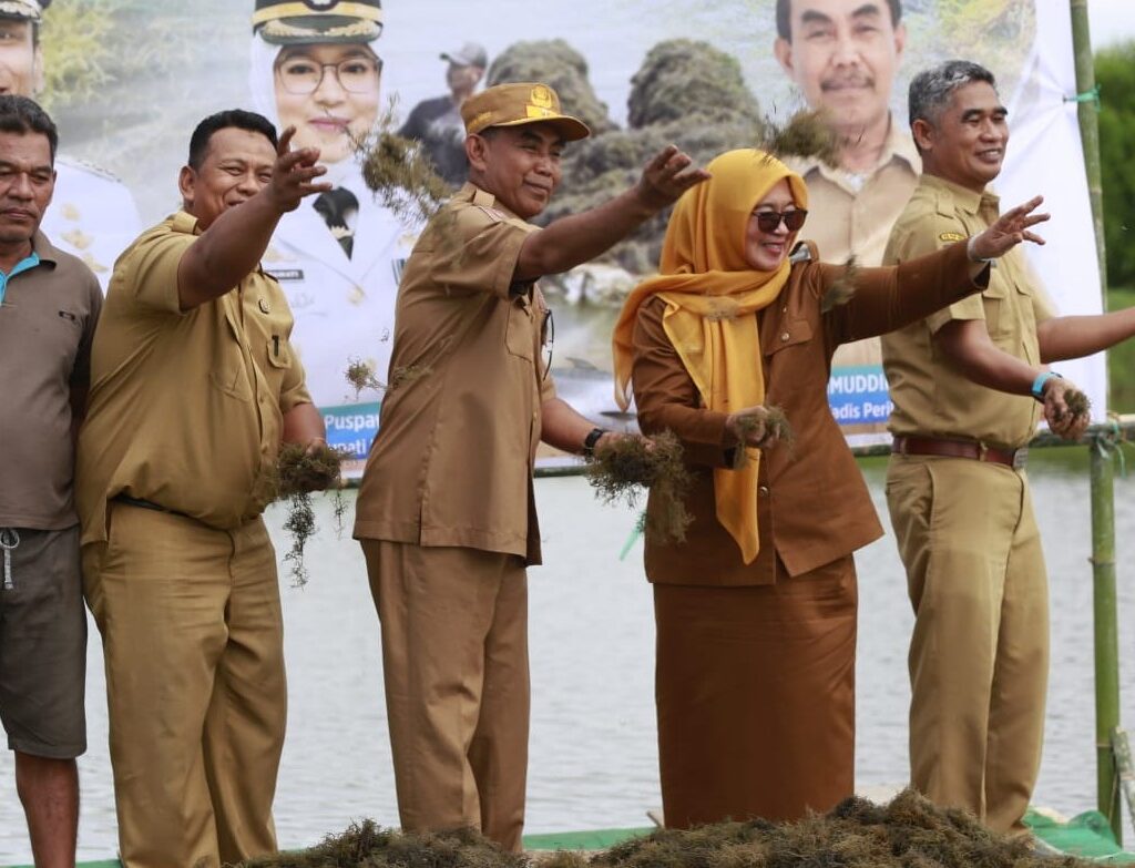 Wabup Lutim Sebar Bibit Rumput Laut di Lakawali Pantai