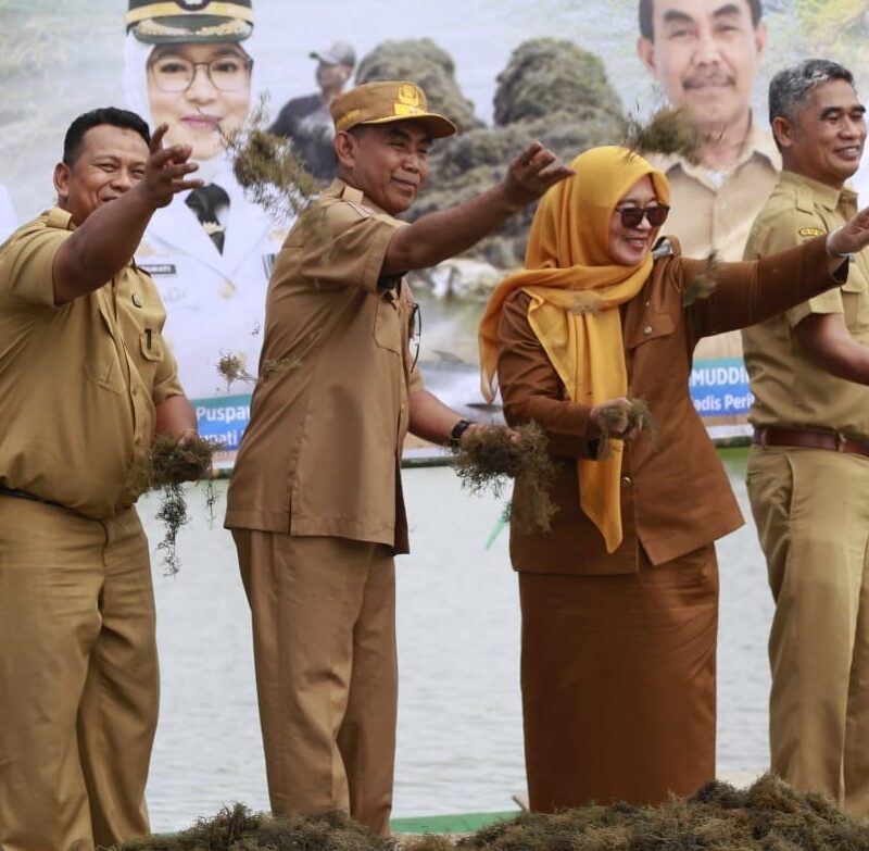 Wabup Lutim Sebar Bibit Rumput Laut di Lakawali Pantai