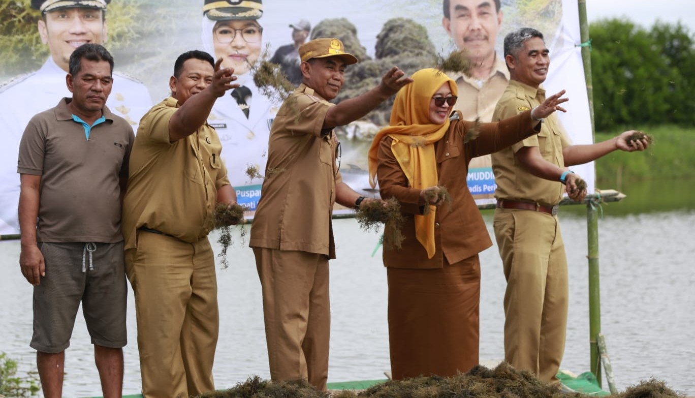 Wabup Lutim Sebar Bibit Rumput Laut di Lakawali Pantai