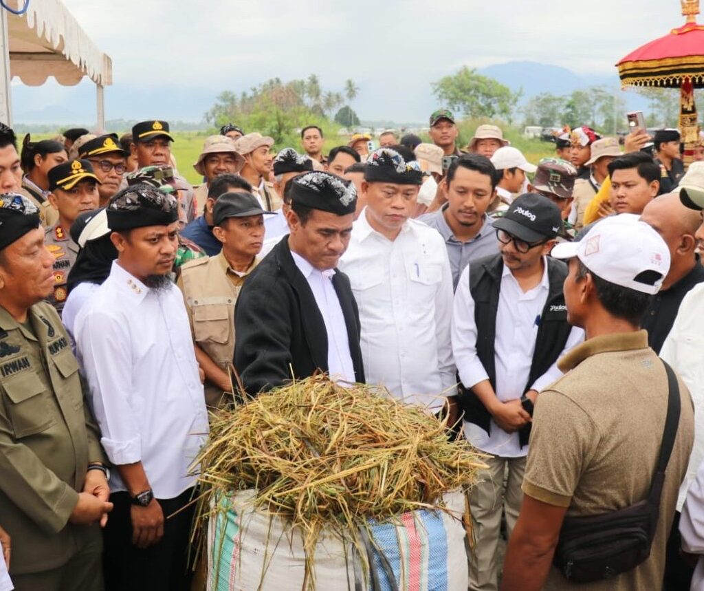 Saksikan Panen Raya, Mentan Minta Petani Lutim Tanam Padi 4 Kali Setahun