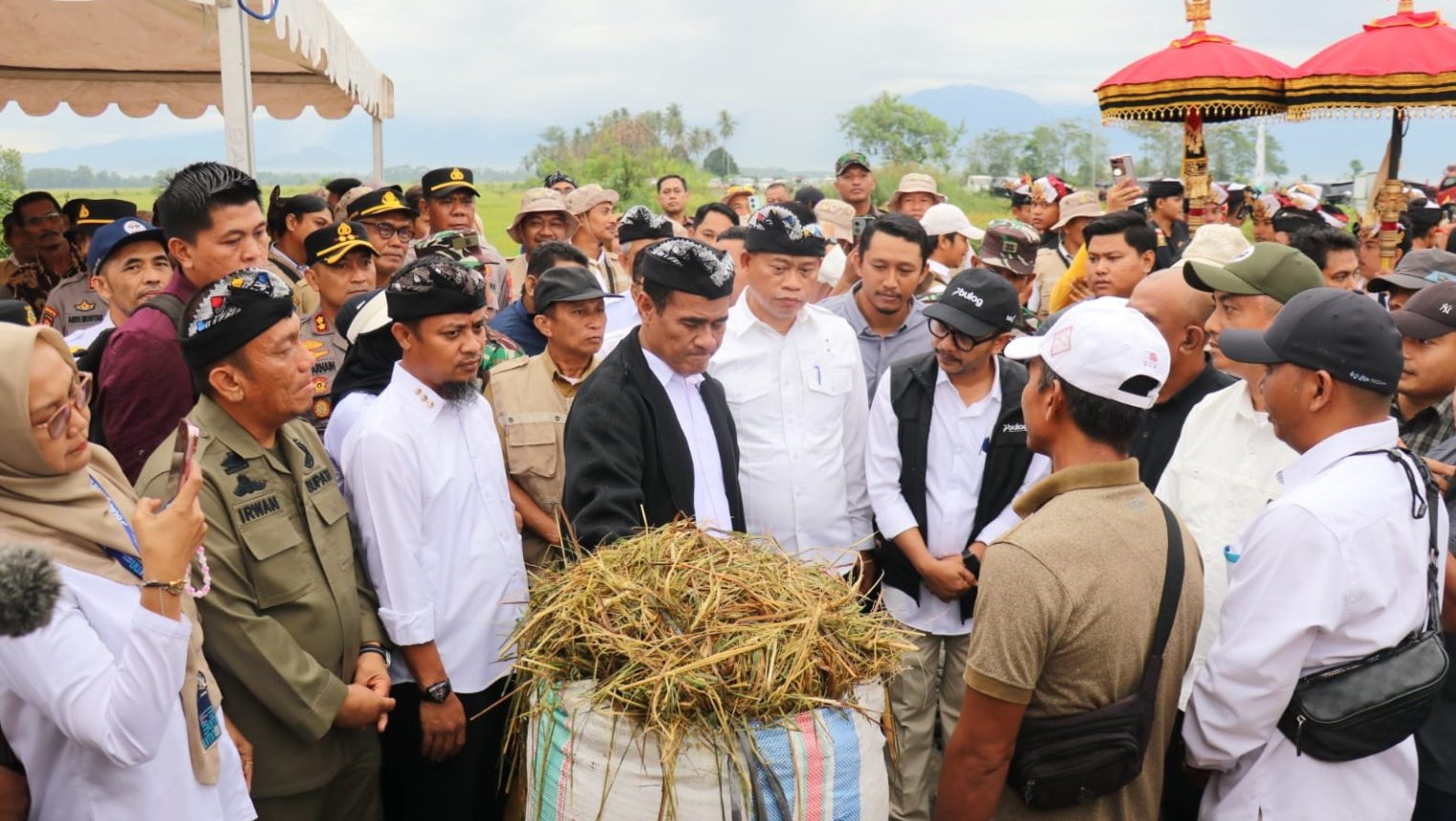 Saksikan Panen Raya, Mentan Minta Petani Lutim Tanam Padi 4 Kali Setahun