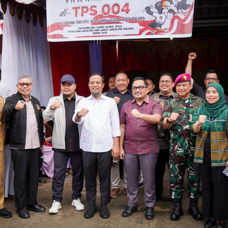 Gubernur Sulsel Pantau Pelaksanaan PSU di Kota Palopo