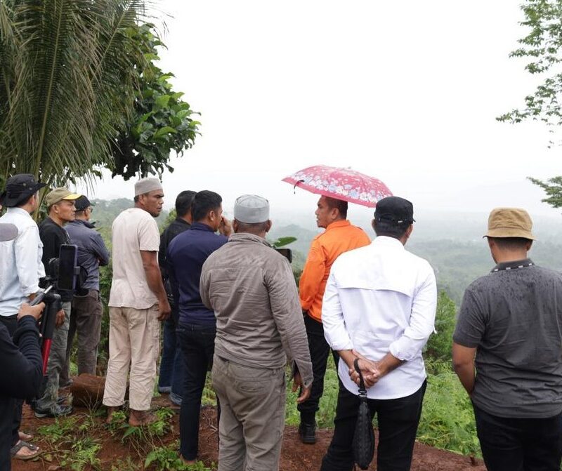 Kunjungi Kebun Masyarakat, Bupati Lutim Janji Carikan Solusi