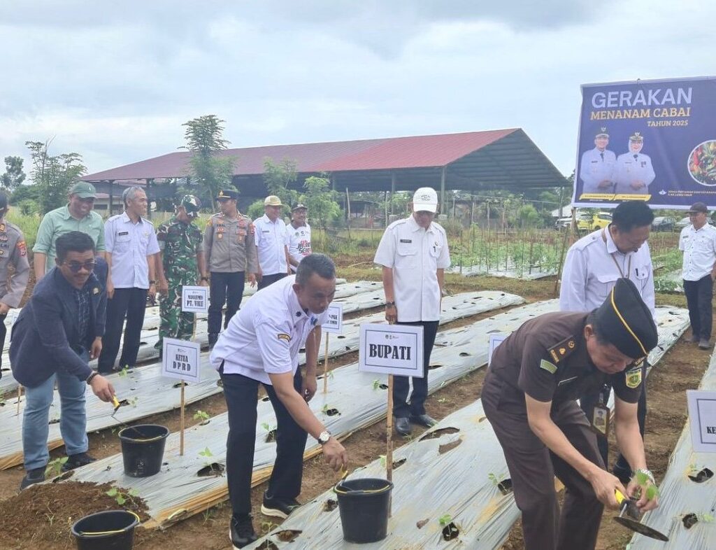 Tekan Laju Inflasi, Pemkab Lutim Gelar Gerakan Tanam Cabai
