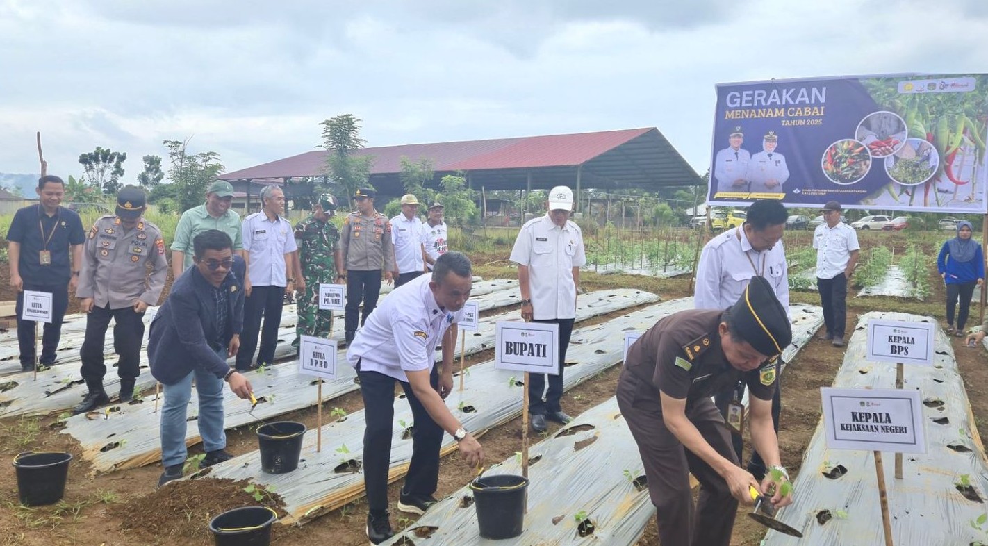 Tekan Laju Inflasi, Pemkab Lutim Gelar Gerakan Tanam Cabai