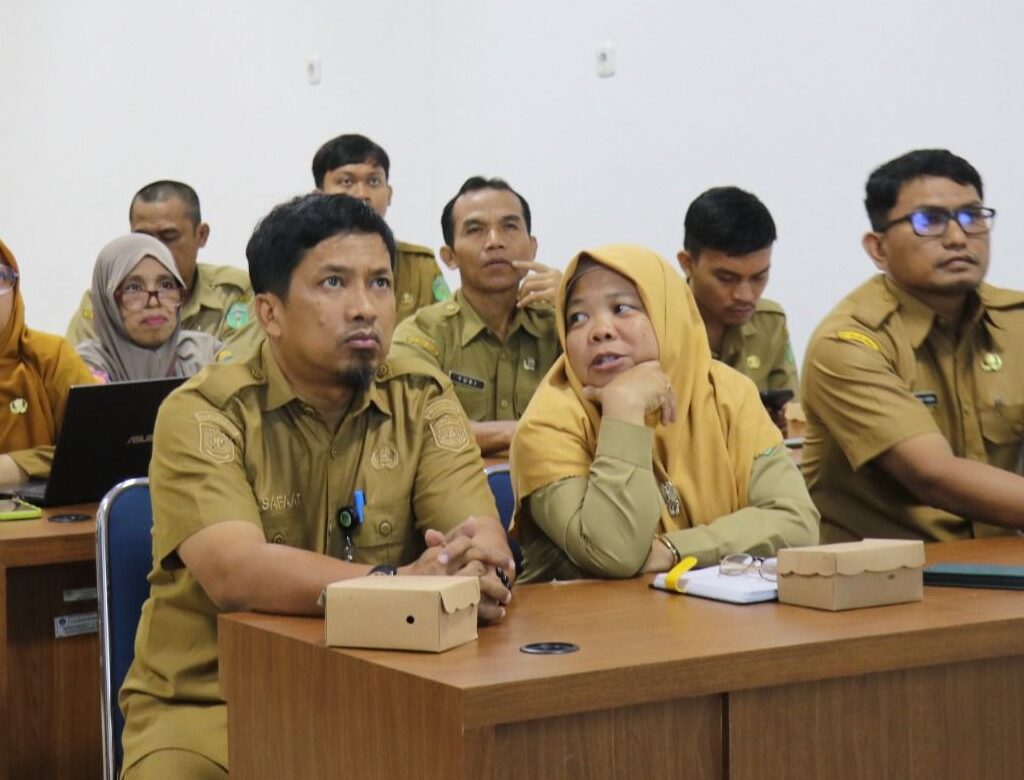 Pemkab Lutim Ikut Sosialisasi DTSEN dari Bappenas