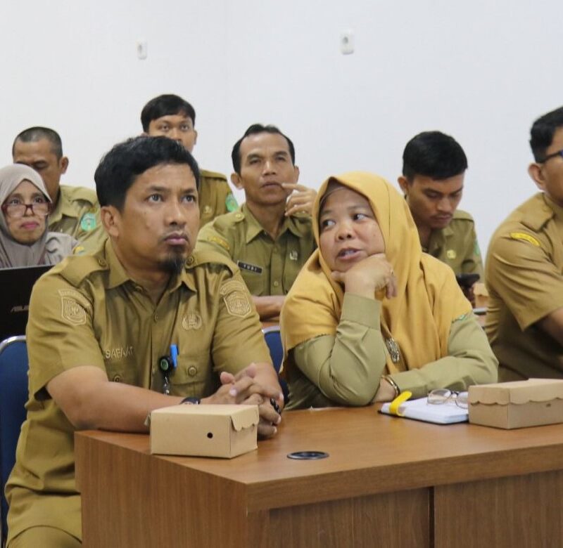 Pemkab Lutim Ikut Sosialisasi DTSEN dari Bappenas