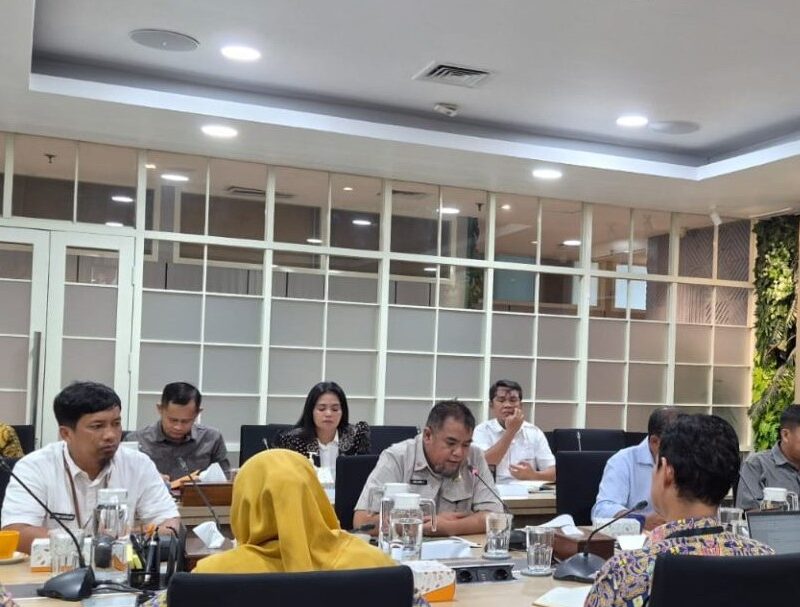 Atasi Bangunan Tak Berizin, Pemkab Lutim Susun Regulasi Kawasan Danau Matano