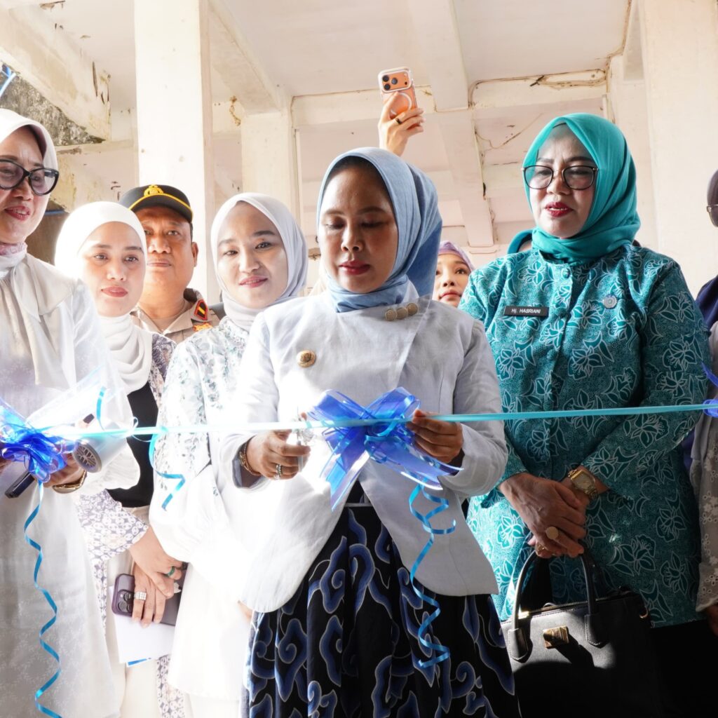 Gedung Layanan Jiwa Diresmikan, Harapan Baru Perawatan Humanis di RSUD Sawerigading