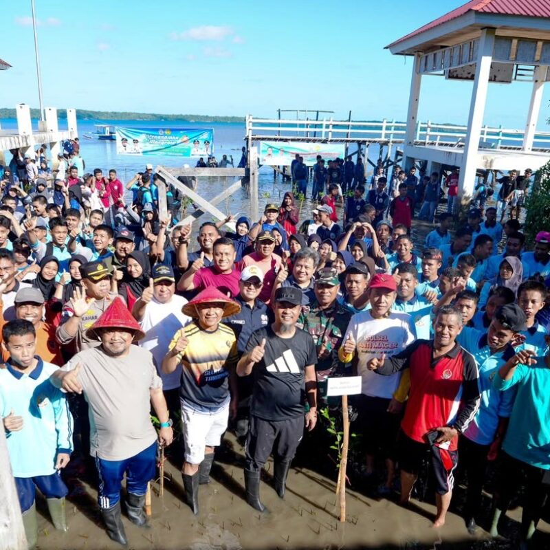 Peringati Hari Lingkungan Hidup Sedunia, Gubernur Sulsel Tanam 1.000 Mangrove di Selayar