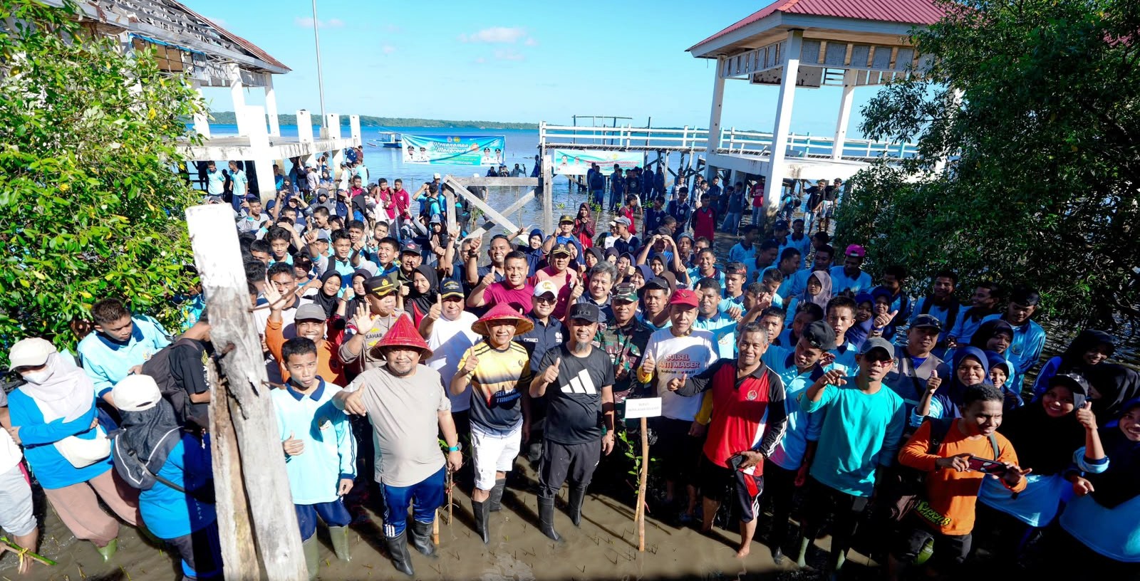 Peringati Hari Lingkungan Hidup Sedunia, Gubernur Sulsel Tanam 1.000 Mangrove di Selayar