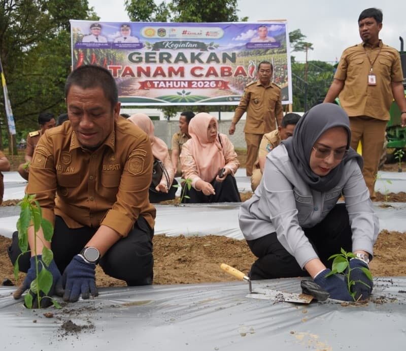 Pemkab Kucurkan Bantuan 12 Miliar untuk Petani di Luwu Timur
