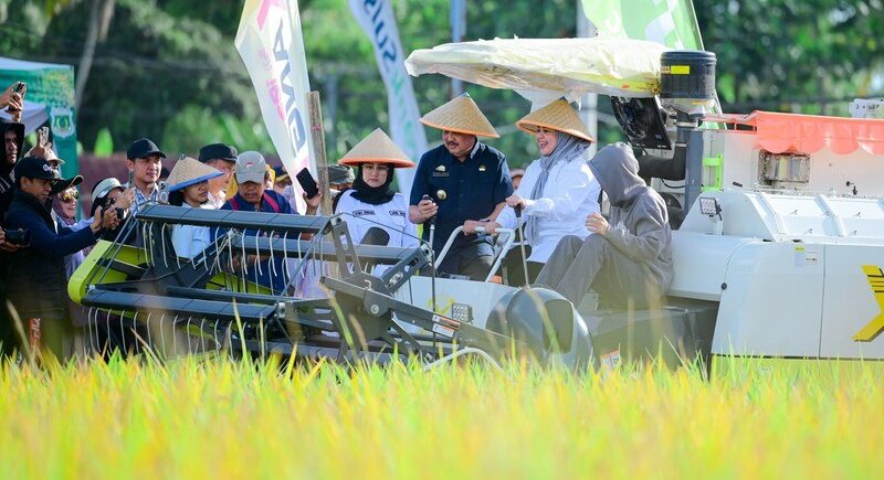 Panen Raya Capai 6,8 Ton per Hektare, Pinrang Perkuat Peran Sulsel sebagai Lumbung Pangan
