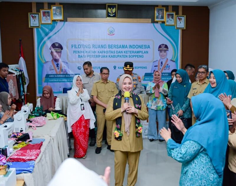 Wagub Sulsel Perkuat Penguatan Data dan Intervensi Stunting di Soppeng