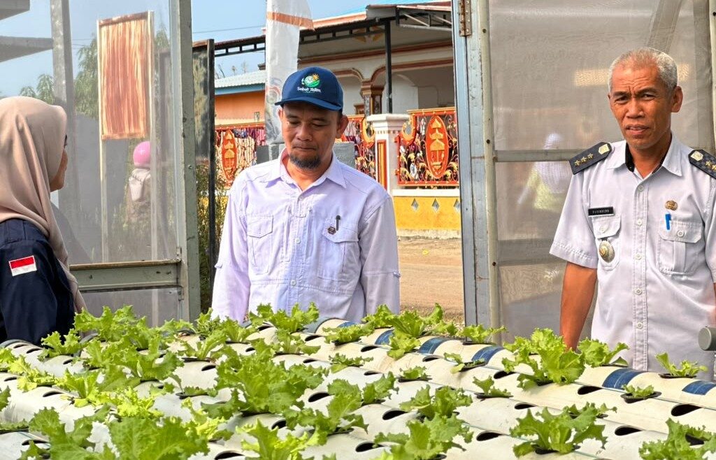 Tabarano dan Balantang Diverifikasi, Luwu Timur Targetkan Boyong Trofi Proklim Utama 2026 Tabarano dan Balantang Diverifikasi, Luwu Timur Targetkan Boyong Trofi Proklim Utama 2026