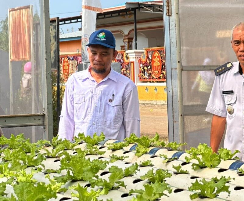 Tabarano dan Balantang Diverifikasi, Luwu Timur Targetkan Boyong Trofi Proklim Utama 2026