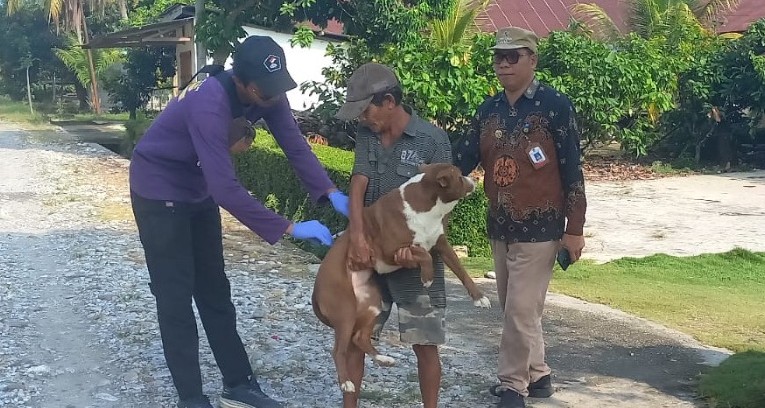 Dinas Pertanian dan Ketahanan Pangan Lutim Gelar Vaksinasi HPR