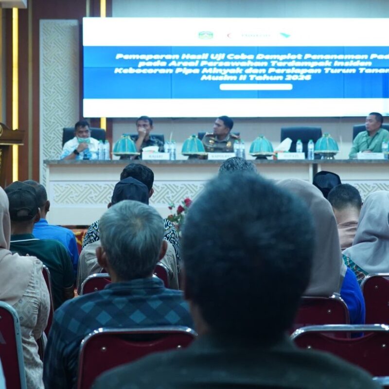 Hasil Demplot Padi di Towuti Positif, Bupati Lutim Dorong Tanam Musim II