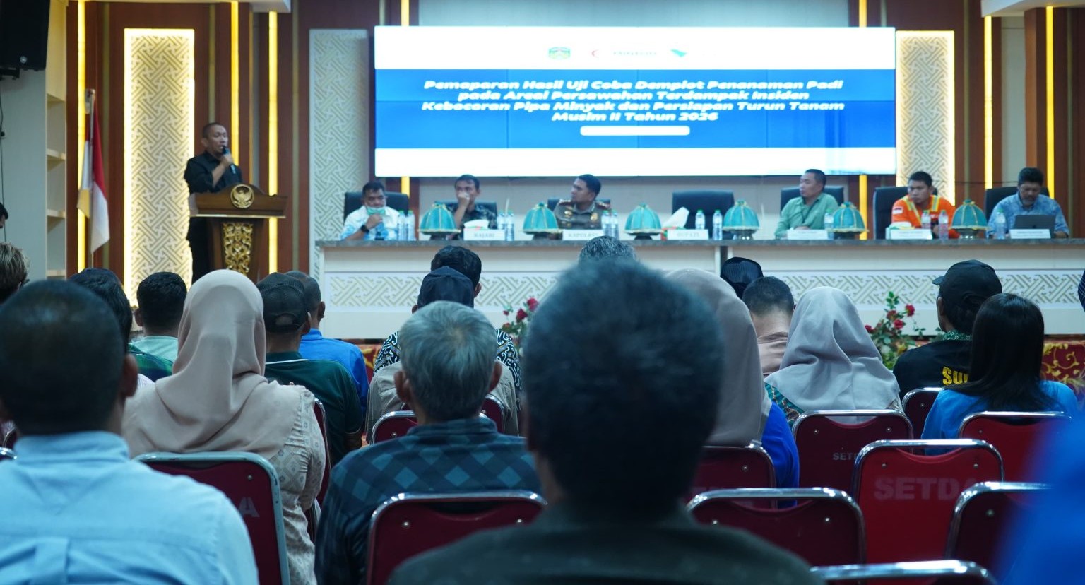 Hasil Demplot Padi di Towuti Positif, Bupati Lutim Dorong Tanam Musim II